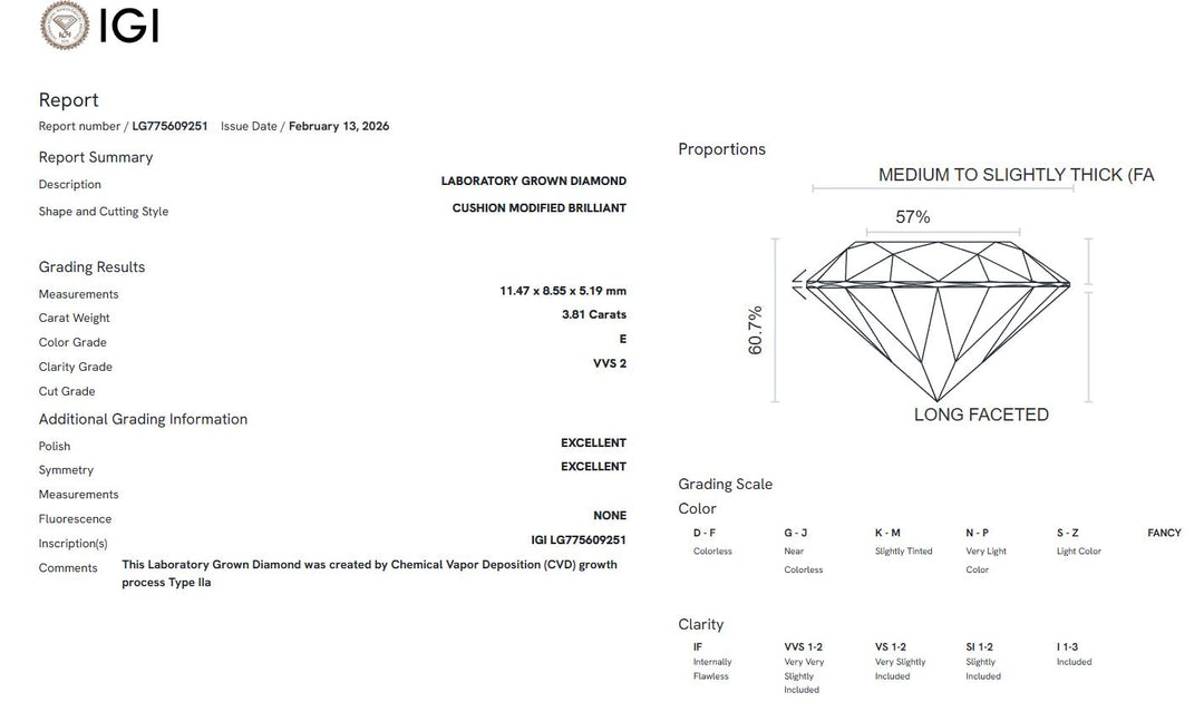 Ready to Ship Ray 3.81ct E/VVS2 Old Mine Elongated Cushion Cut Lab-Created Diamond Engagement Ring in 14k White Gold