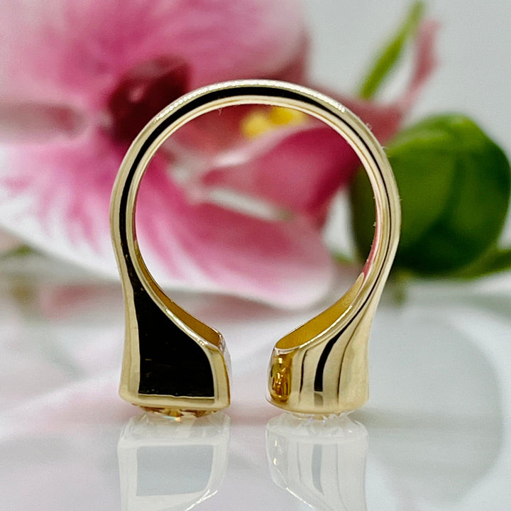 AGI Design Ready to Ship  2ct Oval/2.7ct Radiant Champagne Moissanite Bezel Engagement Ring